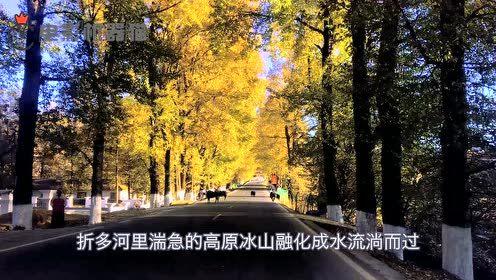 娱乐吃瓜君17集,揭秘娱乐圈背后的惊人真相 第1张 娱乐吃瓜君17集,揭秘娱乐圈背后的惊人真相 第1张