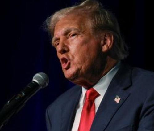 加州特朗普最新爆料,揭秘背后惊人真相!” 第1张 加州特朗普最新爆料,揭秘背后惊人真相!” 第1张